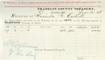 County Tax Receipt, Lucinda L. Cornell, June 12, 1878 by Lucinda L. Cornell