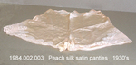 Briefs, Peach Satin by 002