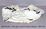 Cape, Short, Fur, Summer Ermine, Tipped by 008