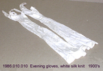 Gloves, Long White Silk, Embroidered by 010