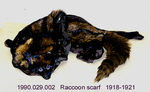 Neck Piece, Fur, Raccoon by 029