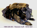 Muff, Fur, Raccoon by 029