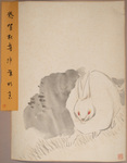 Year of the Rabbit by Zhongxiong Wu